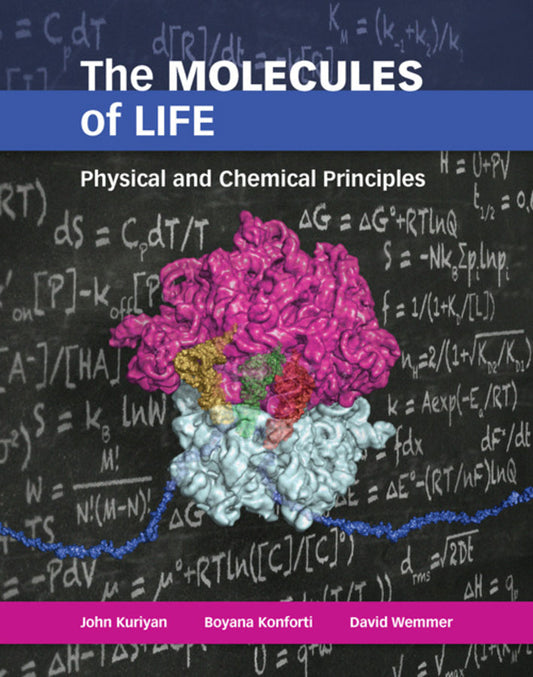 The Molecules of Life