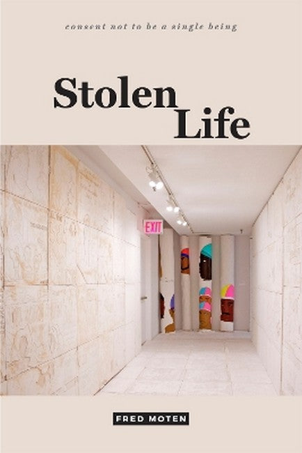 Stolen Life cover
