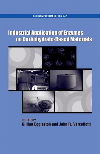 Industrial Application of Enzymes on Carbohydrate Based Materials book cover