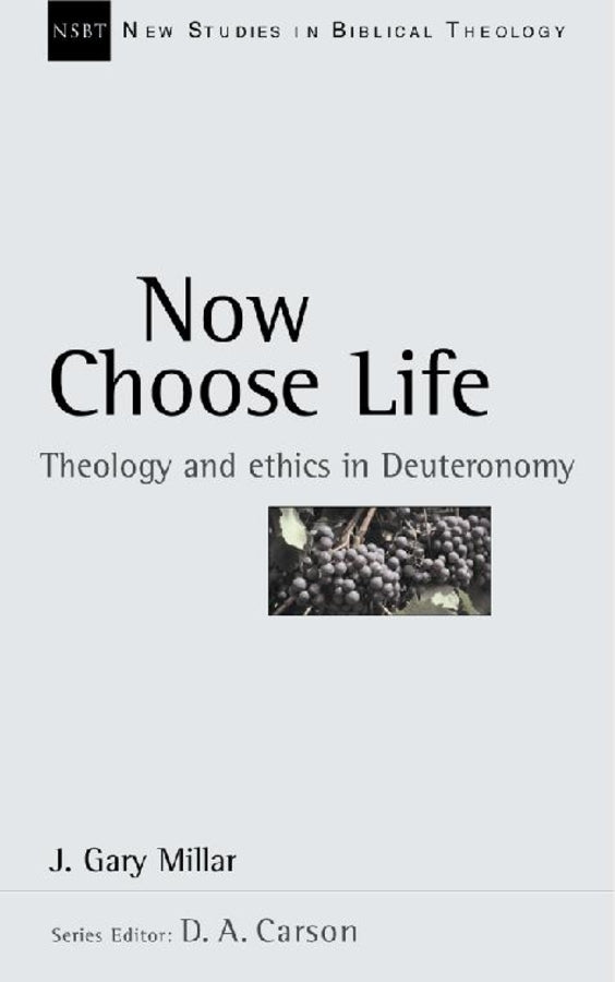 New Studies in Biblical Theology cover