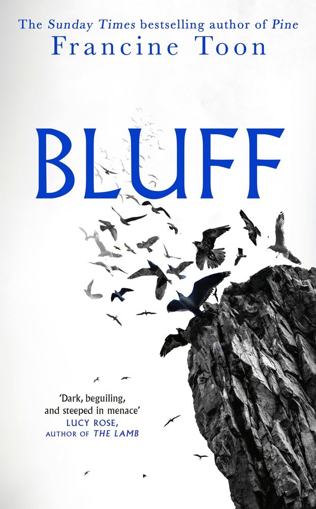 Bluff book cover