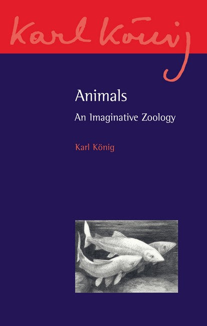 Animals: An Imaginative Zoology
