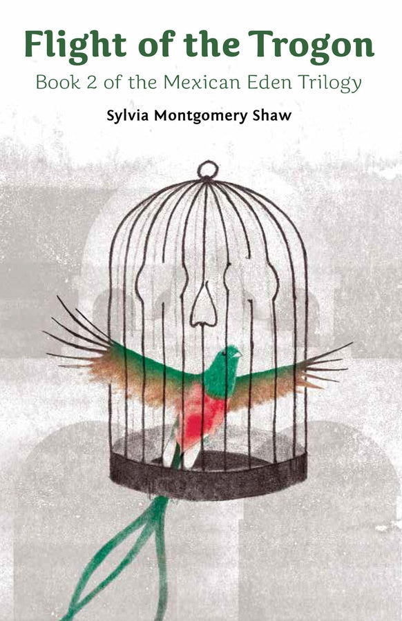 Flight of the Trogon