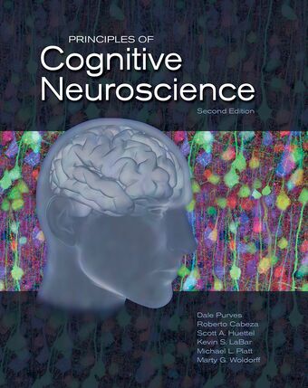 Principles of Cognitive Neuroscience book cover