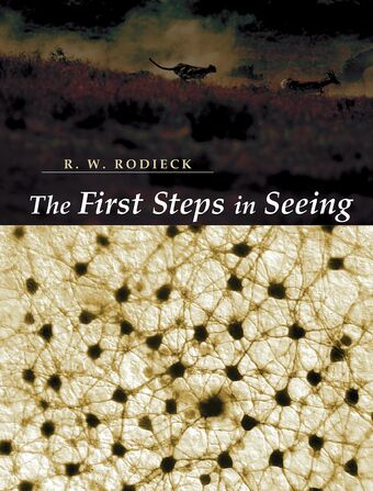 The First Steps In Seeing book cover