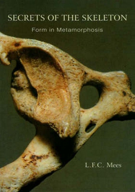 Secrets of the Skeleton cover