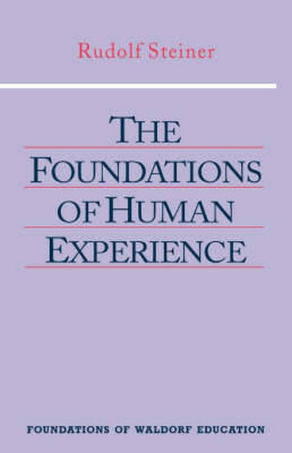 The Foundations of Human Experience cover
