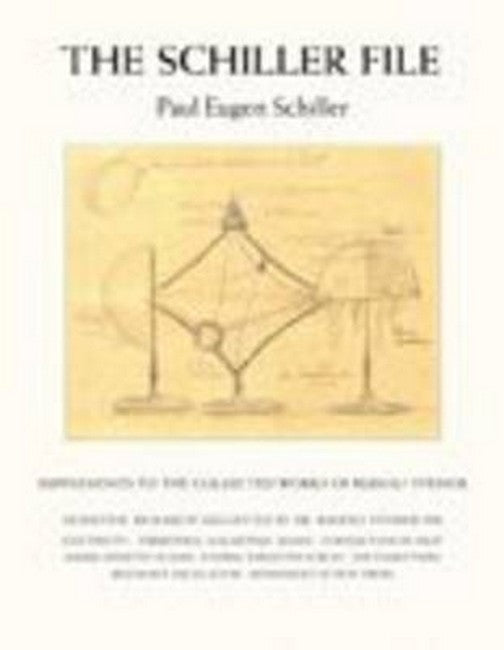 The Schiller File cover