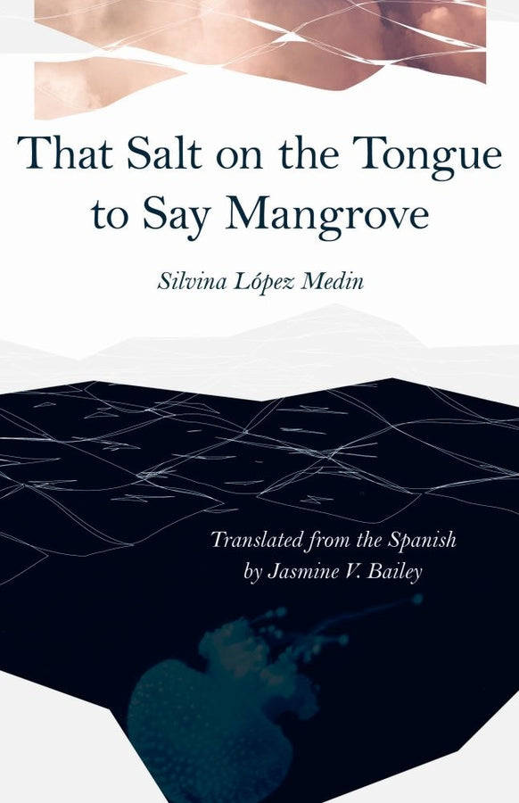 Carnegie Mellon University Press Poetry in Translation cover