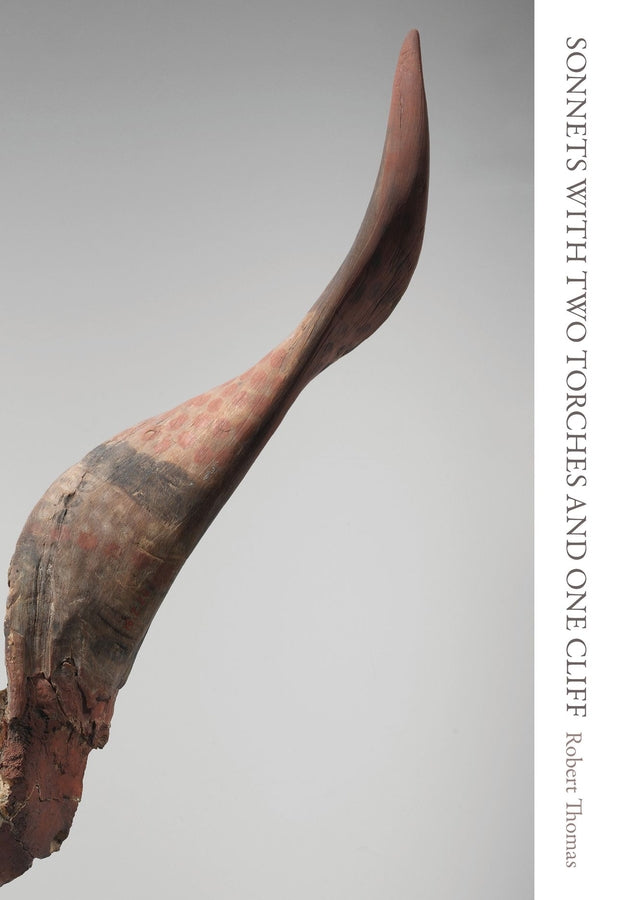 Carnegie Mellon University Press Poetry Series cover