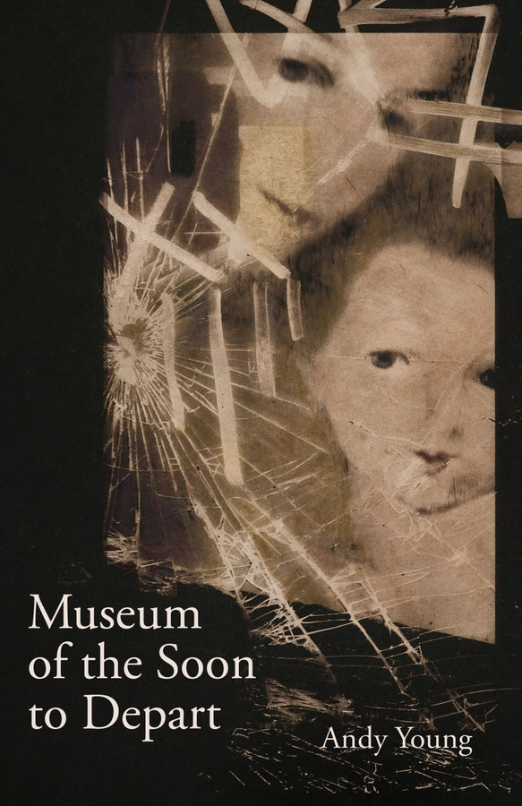Carnegie Mellon University Press Poetry Series cover