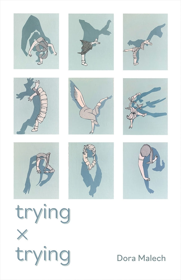 Carnegie Mellon University Press Poetry Series cover