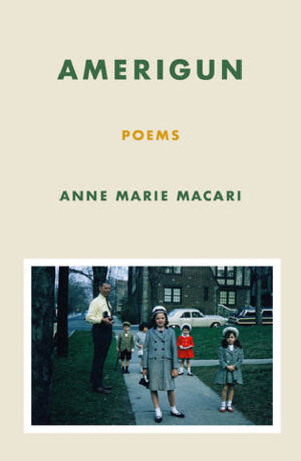 Amerigun: Poems cover