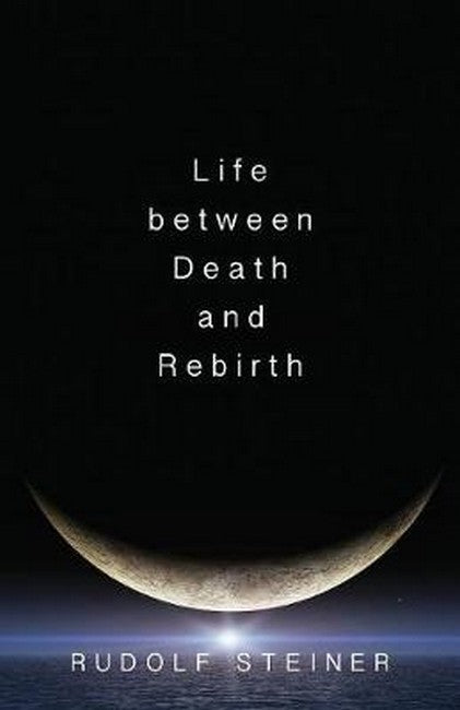 Life Between Death and Rebirth cover