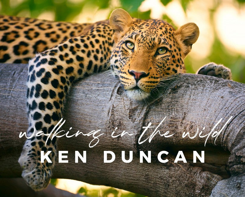Walking in the Wild cover