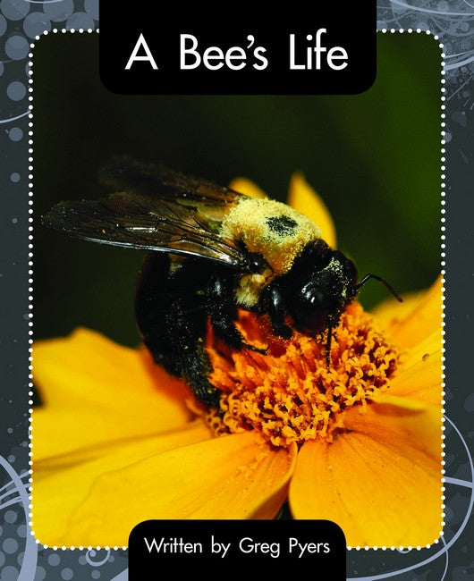 SIC - Lvl 16 Bee's Life, A cover