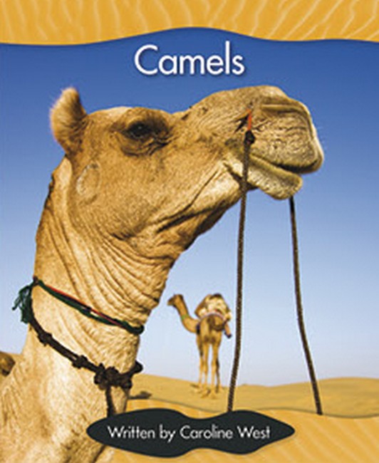 SIC - Lvl 17 Camels cover