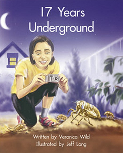 SIC - Lvl 19 17 Years Underground cover