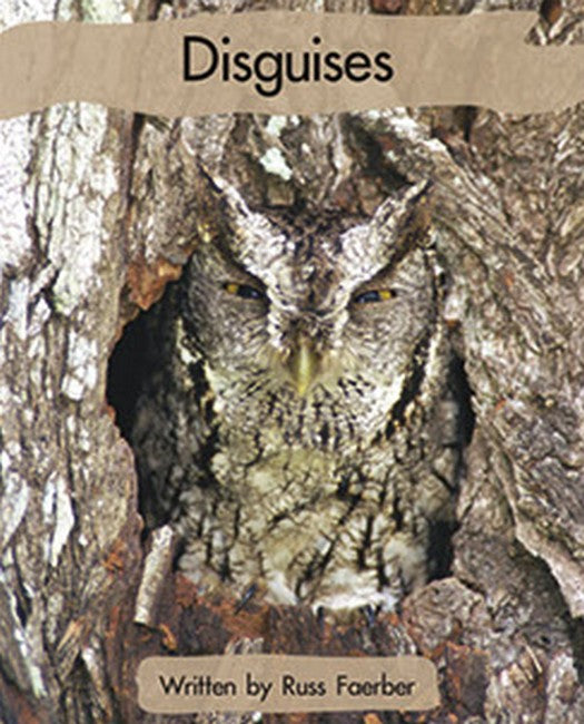 SIC - Lvl 20 Disguises cover