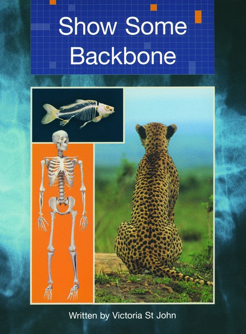 SIC - Lvl 29 Show Some Backbone cover
