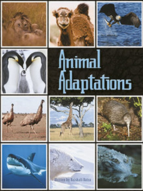 SIC - SiC5: Animal Adaptations cover