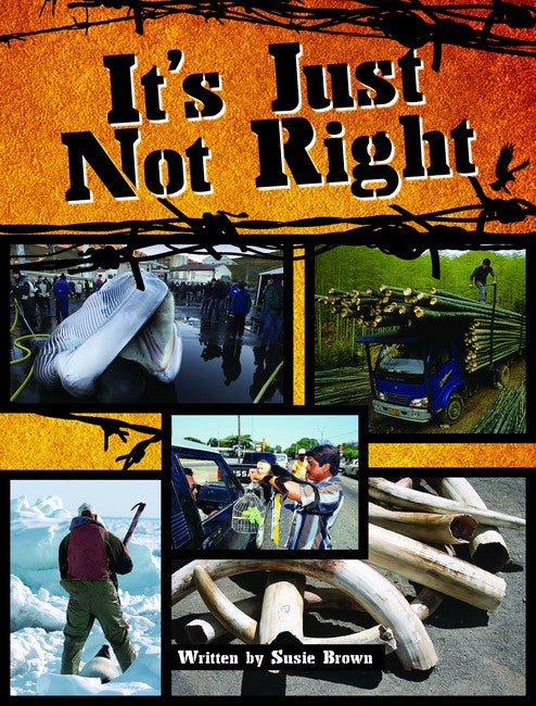 SIC - SiC5: It's Just Not Right cover
