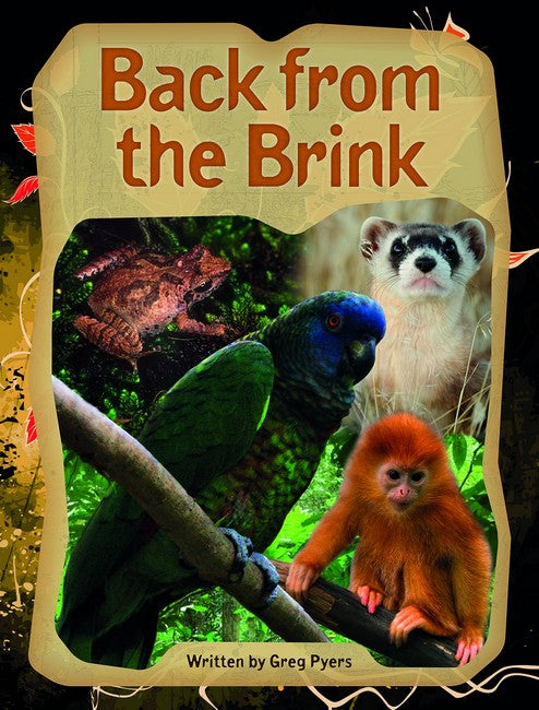 SIC - SiC6: Back from the Brink cover