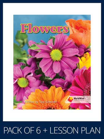 WorldWise Guided Reading Pack Level 1, Pack 2 book cover