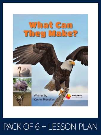 WorldWise Guided Reading Pack Level 4, Pack 4 book cover