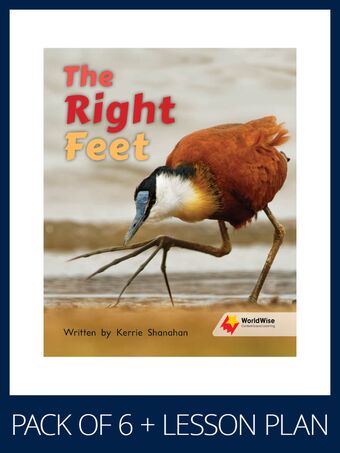 WorldWise Guided Reading Pack Level 11-12, Pack 2 book cover