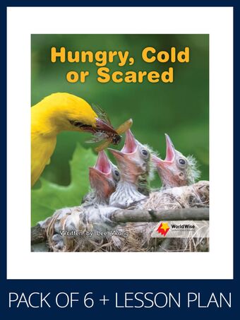 WorldWise Guided Reading Pack Level 13-14, Pack 3 book cover