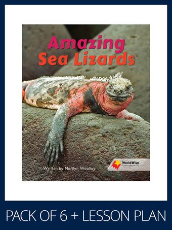 WorldWise Guided Reading Pack Level 15-16, Pack 1 book cover