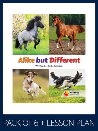 WorldWise Guided Reading Pack Level 15-16, Pack 4 book cover