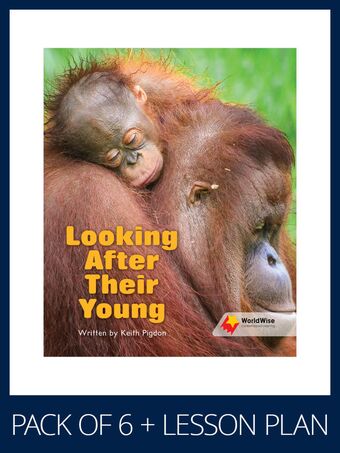 WorldWise Guided Reading Pack Level 17-18, Pack 1 book cover