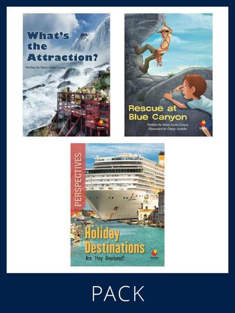 Flying Start Paired & Perspective Pack Level R, Pack 4 book cover