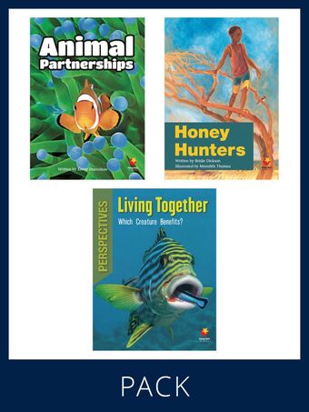 Flying Start Paired & Perspective Pack Level T, Pack 3 book cover
