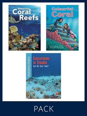 Flying Start Paired & Perspective Pack Level T, Pack 4 book cover