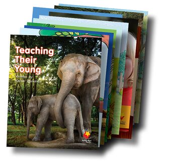 Student Decodable Book Pack 7 - 10 titles x 1 copy each book cover