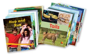 Flying Start to Literacy Phonics Module 2 Student Book Singles Pack book cover