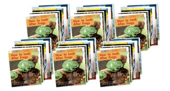 Flying Start to Literacy Phonics Module 3 Student Book Classroom Pack book cover