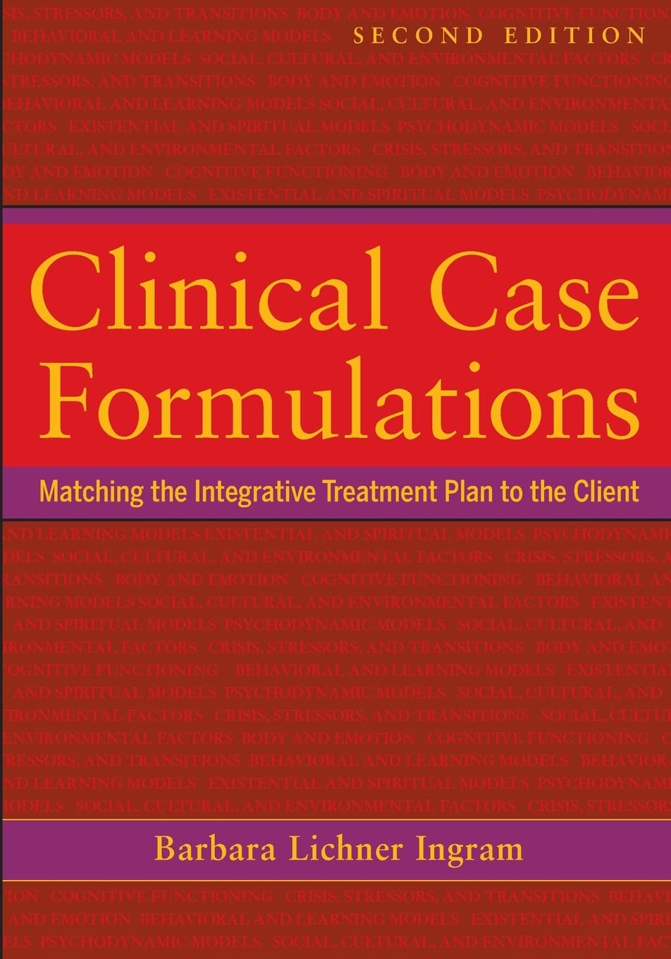 Clinical Case Formulations