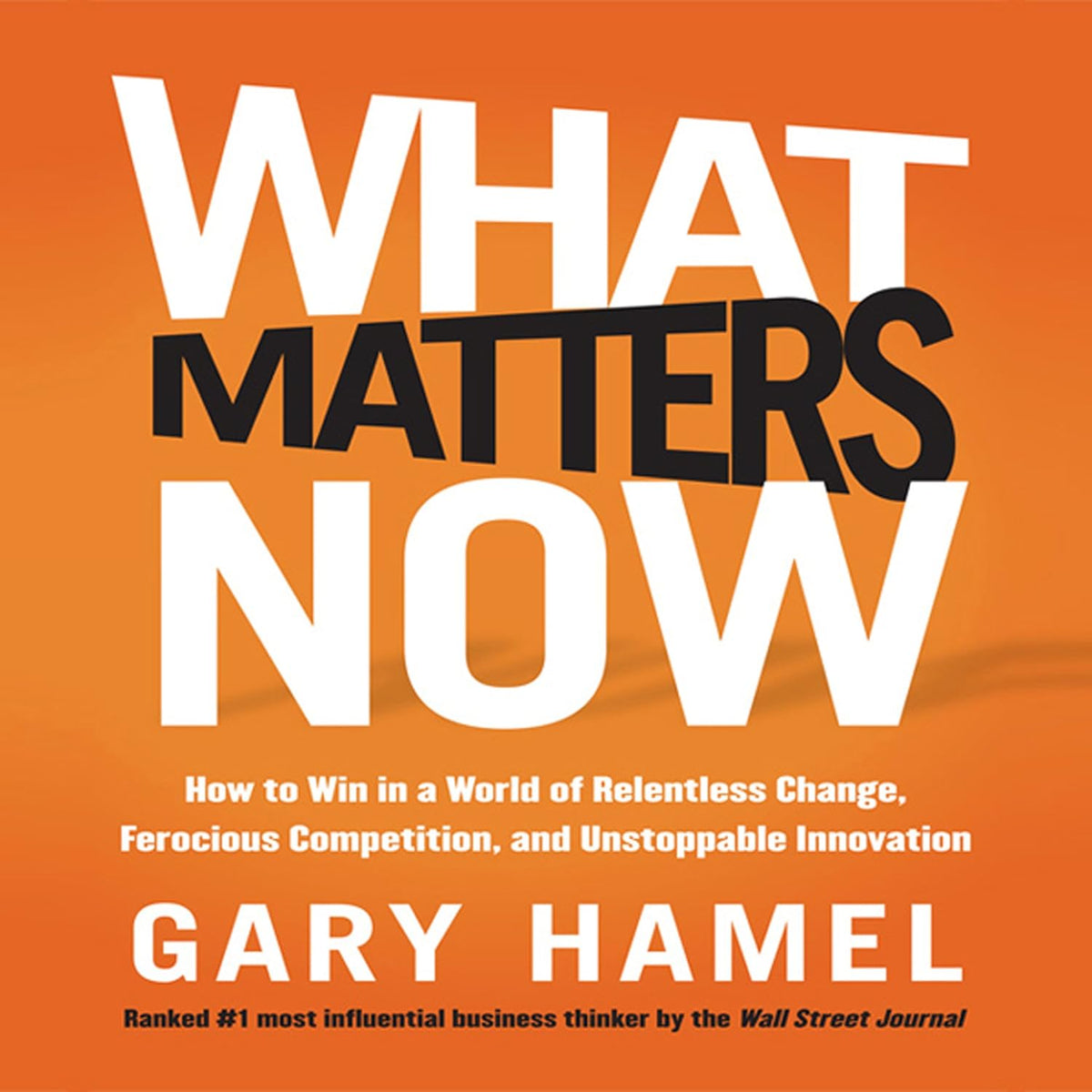 What Matters Now: How to Win in a World of Relentless Change, Ferocious Competition, and Unstoppable Innovation cover
