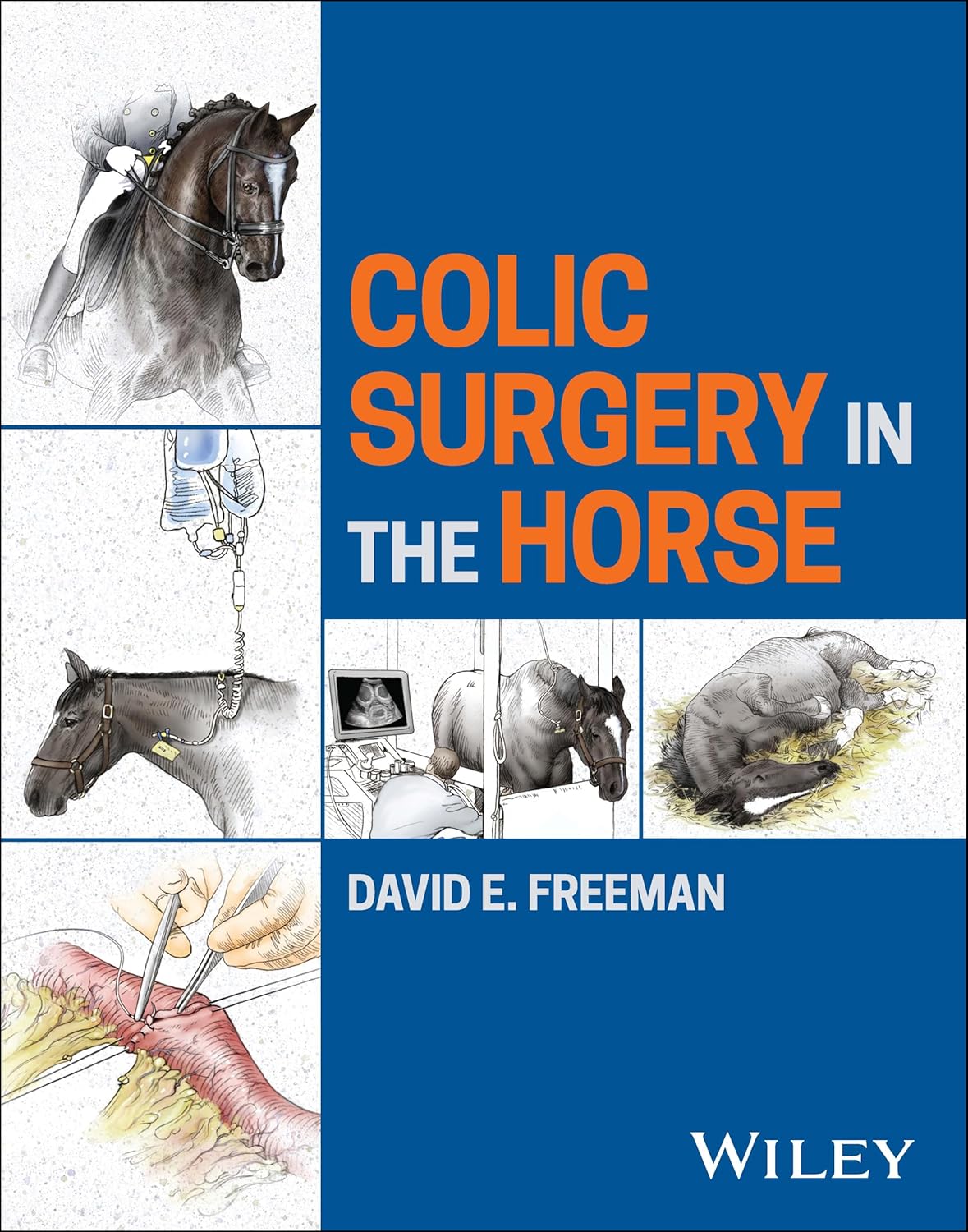Colic Surgery in the Horse cover