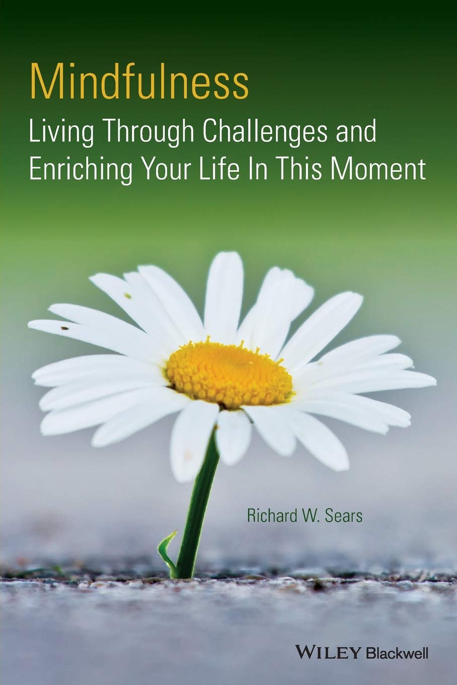 Mindfulness: Living Through Challenges and Enriching Your Life In This Moment cover