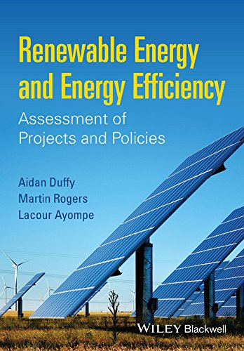 Renewable Energy and Energy Efficiency: Assessment of Projects and Policies cover