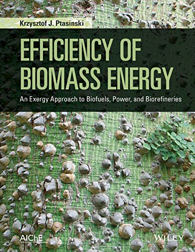 Efficiency of Biomass Energy: An Exergy Approach to Biofuels, Power, and Biorefineries cover