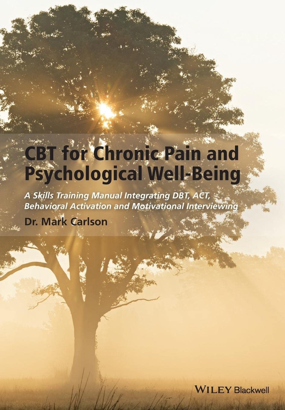 CBT for Chronic Pain and Psychological Well-Being: A Skills Training Manual Integrating DBT, ACT, Behavioral Activation and Motivational Interviewing cover