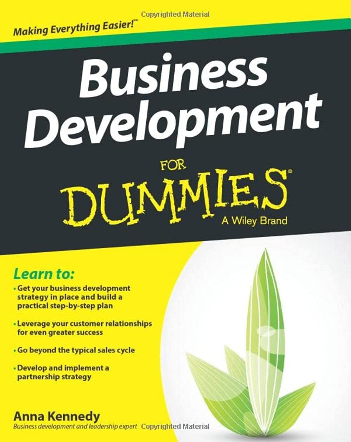 Business Development For Dummies cover