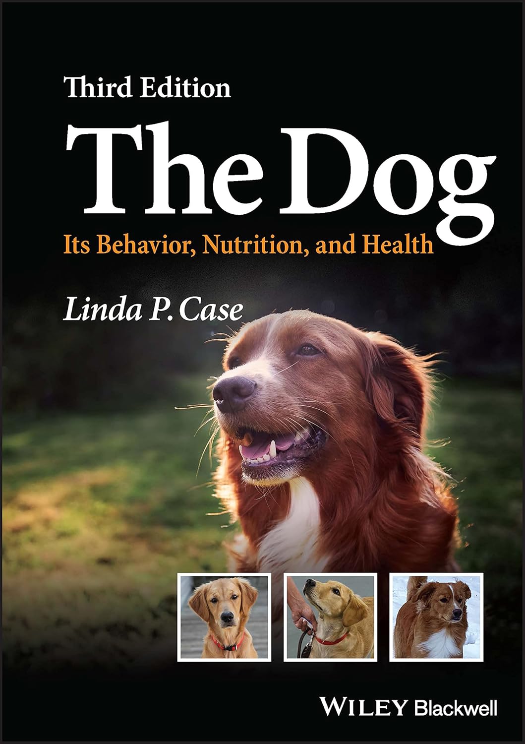 The Dog