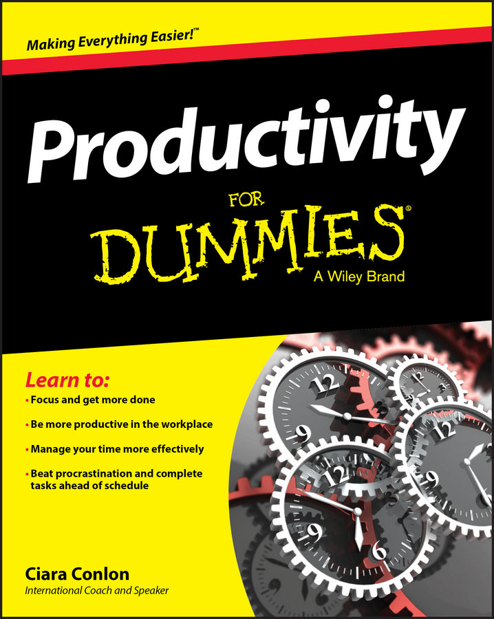 Productivity For Dummies cover
